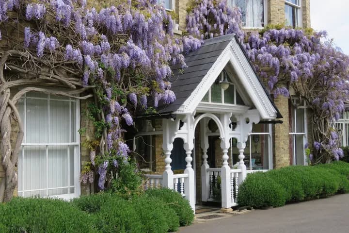 Wisteria-covered entrance